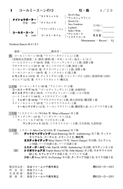 3着 - 馬市ドットコム