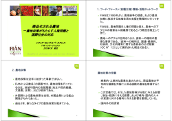 PDF 0.9MB