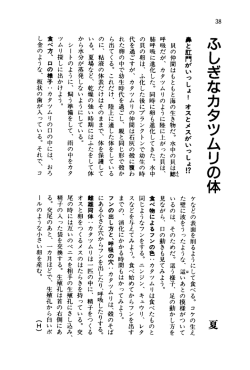 ふしぎなカタツムリの体