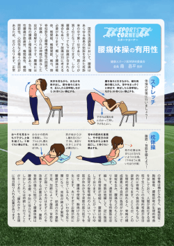 ストレッチ 側 枕体操 側 胸椎後弯・腰椎前弯の生理的弯曲