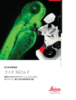 MZ16 F - Fluorescence Microscopy