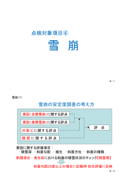安定度調査における点検の着目点