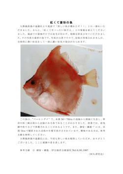 紅くて菱形の魚