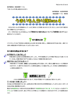 秋野菜にむけて