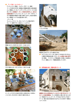 ツアー内容写真