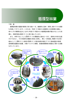 発 展 循環型林業の基盤の確保に取り組む一方、継続的に造林・保育し