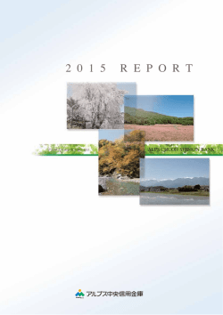 ディスクロージャー誌「REPORT2015」