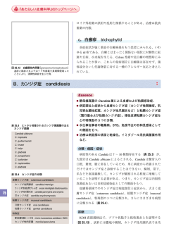 25 B．カンジダ症 candidiasis c．白癬疹 trichophytid