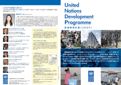 United Nations Development Programme