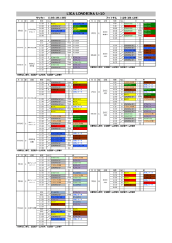 LIGA LONDRINA 2016（U-10）