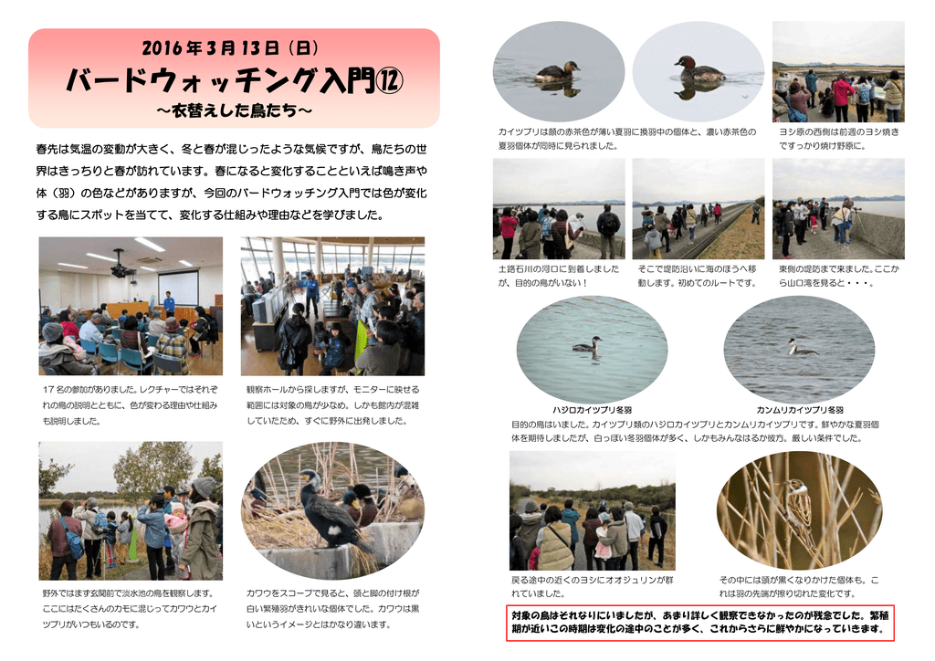 バードウォッチング入門 イベント報告