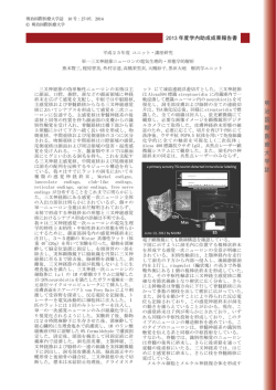 PDF, 13.5MB