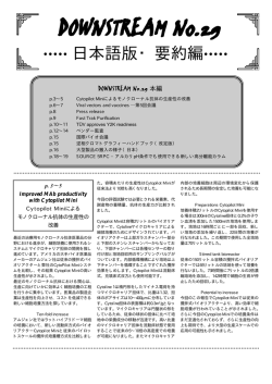 DOWNSTREAM No.29（要約版） PDF:53KB
