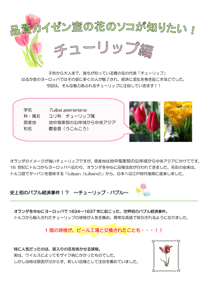 花のソコが知りたい Vol 22 チューリップ編