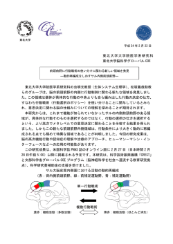 前頭前野に行動戦術の使い分けに関わる新しい領域を発見
