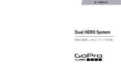 Dual HERO System