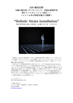 Holistic Strata installation