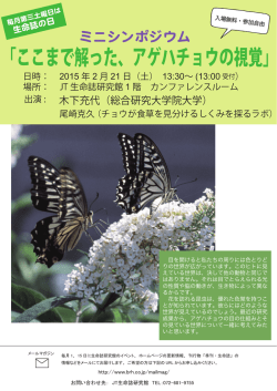 ここまで解った、アゲハチョウの視覚