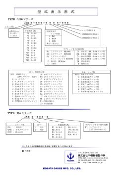型式表示形式 - 木幡計器製作所