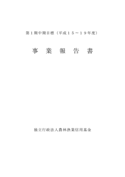 第1期中期目標（平成15～19年度）