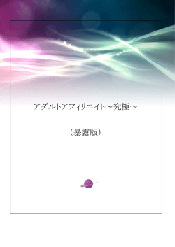 アダルトアフィリエイト～究極～ （暴露版）