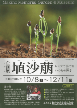 Page 1 Page 2 オオイヌノフグリ 開催にあたって 真撃に植物と向き合い