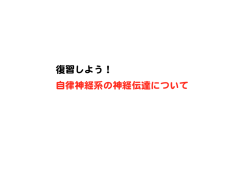 自律神経系の神経伝達について 復習しよう！