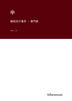 総則及び条件 &ndash; 専門家
