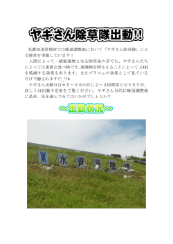 美濃加茂管理所では蜂屋調整池において「ヤギさん除草隊」によ る除草を