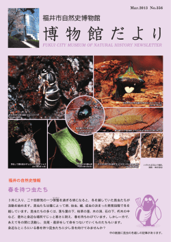 こちら... - 福井市自然史博物館