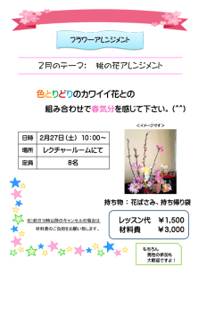 2月のテーマ： 桃の花アレンジメント 色とりどりのカワイイ花との