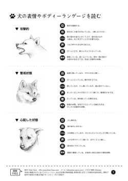 PDFファイルでダウンロード
