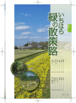 この項目をダウンロードする（PDF：14483KB）