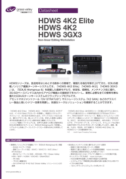 HDWS 3GX3 データシート