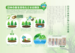 日本の森を活性化させる間伐