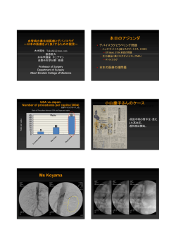 2887KB - 米国医療機器・IVD工業会(AMDD)