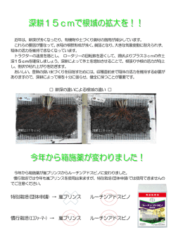 深耕15cmで根域の拡大を! など