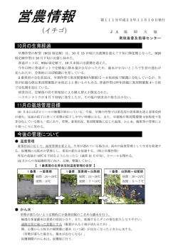 11月10日更新分