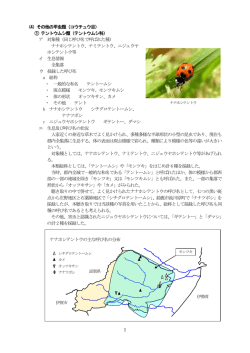 1 ナナホシテントウの主な呼び名の分布 （4）その他の甲虫類（コウチュウ
