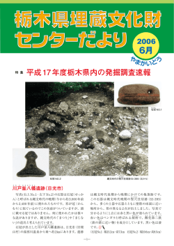 - 栃木県埋蔵文化財センター