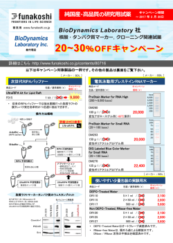 20~30％OFFキャンペーン 20~30％OFFキャンペーン X X X X XXX X XX