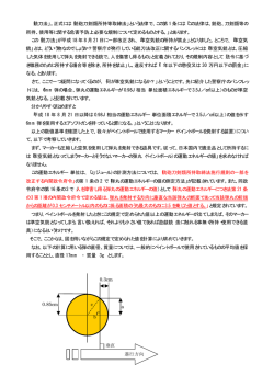 こちら（PDFﾌｧｲﾙ） - NPO法人 日本ペイントボール協会