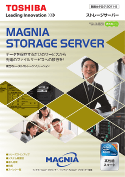 Storage Server - 東芝ソリューション株式会社