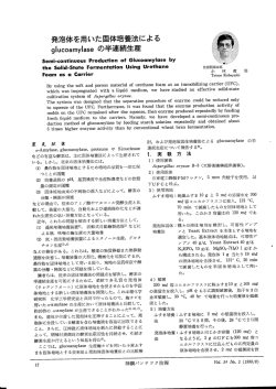 発泡体を用いた固体培養法によるglucoamylaseの半連続生産