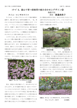 ｼﾘｰｽﾞ 3，富山で育つ宿根草の組み合わせとデザイン⑬ 教授 渡邉美保子