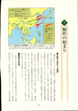7 稲作の始まり