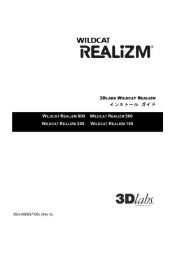 インストール ガイド WILDCAT REALIZM 800 WILDCAT