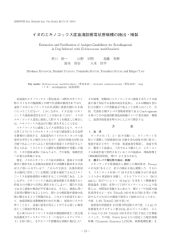 イヌのエキノコックス症血清診断用抗原候補の抽出・精製