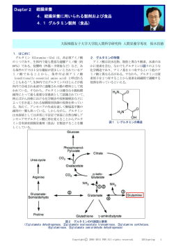 PDNレクチャー テキストPDF版