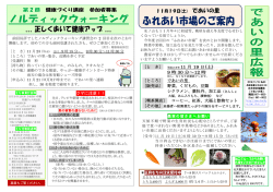 the PDF file